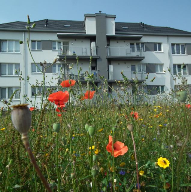 Logements sociaux